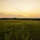 Dusk and sunset over the grassland in Cross Plains State Park