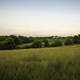 Grassland, landscape, and homestead at Cross Plains State Park