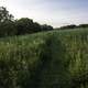 Hiking Trail through the grassland at Cross Plains State Park