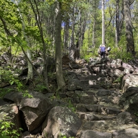 Upwards Trail at Devil's Lake State Park