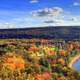 Colorful Forest at Devil's Lake State Park, Wisconsin