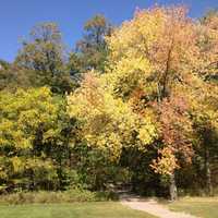 Fall colors at base of hiking trail at Devil's Lake State Park, Wisconsin