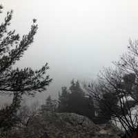 Foggy Bluff at Devil's Lake State Park, Wisconsin