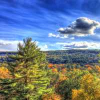 Forest from the bluff at Devil's Lake State Park, Wisconsin