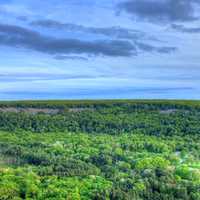 Forest under Skies at Devil's Lake State Park, Wisconsin