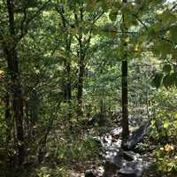 Hiking trailat Devil's Lake State Park, Wisconsin