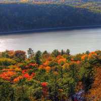 Lake and forest at Devil's Lake State Park, Wisconsin