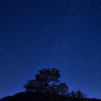 Stars above the trees at Devil's Lake State Park, Wisconsin