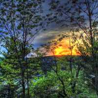 Sunset Through the Trees at Devil's Lake State Park, Wisconsin