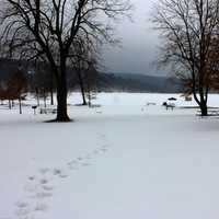 Walking to the lake at Devil's Lake State Park, Wisconsin