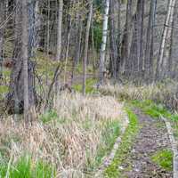 Lake of the Pines Hiking Trail