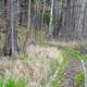 Lake of the Pines Hiking Trail