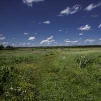 Blue Skies with small clouds over the prairie 