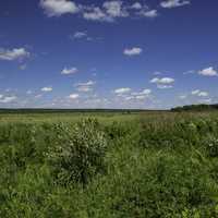Grassland and wetlands landscape with blue sky