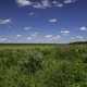 Grassland and wetlands landscape with blue sky