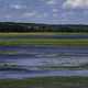 Lake, Swamp, and Wetlands landscape