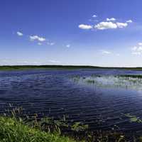 Scenic View Across a large pond at George Meade Wildlife Refuge