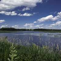 Wetlands Lanscape with Ponds under sky and clouds