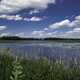 Wetlands Lanscape with Ponds under sky and clouds