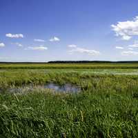 Wide Angle View of George Meade Wildlife Refuge landscape