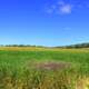 Farms on the Glacial Drumlin State Trail, Wisconsin