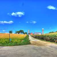 Farmhouse and cornfields on the Glacial Drumlin State Trail, Wisconsin