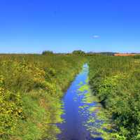 Small Creek on the Glacial Drumlin State Trail, Wisconsin