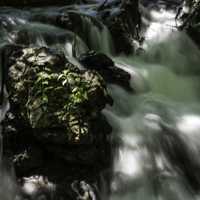 Rushing Stream at Governor Dodge State Park, Wisconsin