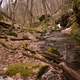 Creek into the woods at Governor Dodge State Park, Wisconsin