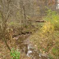 Another stream view in Govenor Dodge State Park, Wisconsin