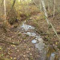 Creek in Govenor Dodge State Park, Wisconsin