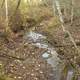 Creek in Govenor Dodge State Park, Wisconsin