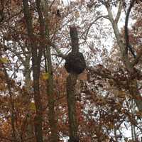 Hornet's Nest in Govenor Dodge State Park, Wisconsin