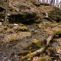 Landscape on the trail at Governor Dodge State Park, Wisconsin