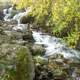 Lower part of a waterfall in Govenor Dodge State Park, Wisconsin