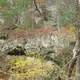 Rock formation in Govenor Dodge State Park, Wisconsin