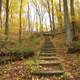 Steps on the hiking trail in Govenor Dodge State Park, Wisconsin