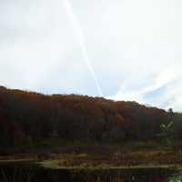 Sky over Forest in Govenor Dodge State Park, Wisconsin