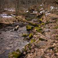 Walking in the forest at Governor Dodge State Park, Wisconsin