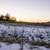 ice and snow on lake Mendota at Governor Nelson State Park, Wisconsin ...