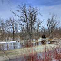 Backwater Landscape on the Great River Trail, Wisconsin