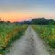 Dusk and Sunset on River trail on the Great River Trail, Wisconsin