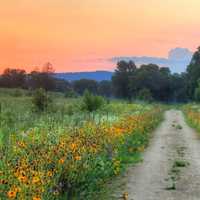 Dusk Landscape with Hills on the Great River Trail, Wisconsin