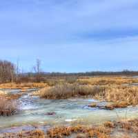 Frozen Marshes on the Great River Trail, Wisconsin