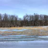 Nature Reserve on the Great River Trail, Wisconsin