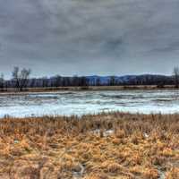 Swampy Landscape on the Great River Trail, Wisconsin