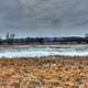Swampy Landscape on the Great River Trail, Wisconsin