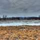 Swampy Landscape on the Great River Trail, Wisconsin