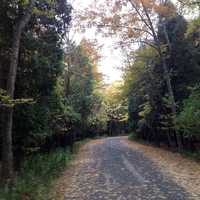 Nature Trail at Harrington Beach State Park, Wisconsin 