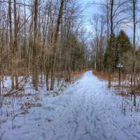 Trail in the trees at Harrington Beach State Park, Wisconsin